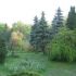 Parcul Dendrologic Simeria